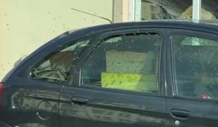 Lugojeni puşi pe fugă de roiuri de albine, după ce un apicultor a lăsat doi stupi în maşină. A fost rugat să părăsească imediat oraşul