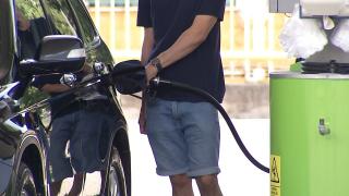 Cât va ajunge să coste motorina în octombrie. Preţul ar putea creşte din nou după "expirarea" compensării, dar ministrul Energiei e optimist