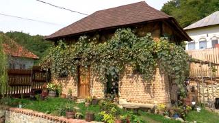 Afacerea cu care Alex ia 8.000 de euro pe lucrare, după 12 ani de muncă între străini. Nu facultatea l-a ajutat, ci pasiunea