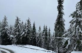 Drumarii au intervenit cu 4 utilaje de deszăpezire după ce a nins abundent în Pasul Prislop