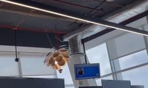 Cutremur de 7.7 pe Richter în Mexic, în aceeaşi zi în care oamenii comemorau 5 ani de la seismul care a ucis 216 oameni, în 2017