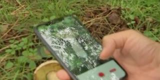La cules de ciuperci, cu aplicaţie mobilă. Specialiştii avertizează că riscurile sunt însă mari dacă softul dă greş. "Există foarte multe mituri"