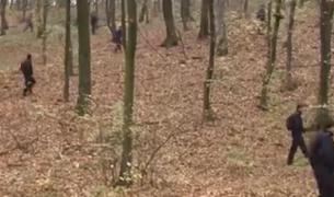 Cei șase copii din Sălaj, cu vârste cuprinse între 6 și 12 ani și dispăruți după ce au plecat la cules de ciuperci, au fost găsiți