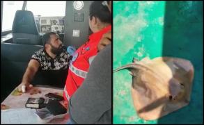Alertă pe un vas din Marea Neagră. Marinar înţepat de o pisică de mare pe care a pescuit-o, la Sulina