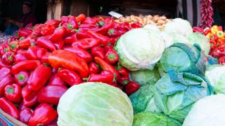 Vinete, gogonele, ardei și gogoşari la prețuri excelente, la Ziua Recoltei din Cumpăna