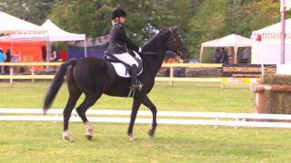 Spectacol ecvestru pe domeniul Cantacuzino. Mii de spectatori au admirat nu mai puţin de 130 de cai, aduşi special din cinci țări