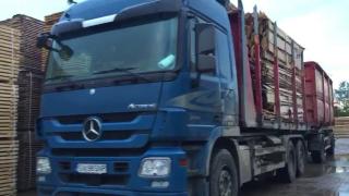 Mafia lemnului, atacată de anchetatori după ce 3 ani a făcut tot ce a vrut. 5 pădurari au plătit preţul suprem între timp