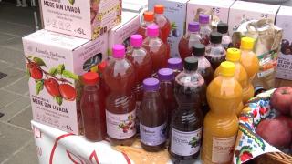 Oferte speciale pentru turişti, lângă Sibiu. Vacanţele care aduc oamenii mai aproape de natură