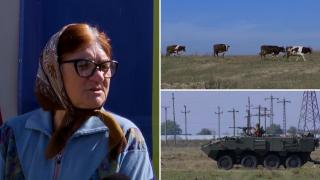 Exercițiu militar cu tancuri printre vaci, capre și oi, într-un sat din Olt. Nedumeriți, gospodarii au propriile teorii
