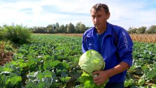 Afacerea cu care un tânăr din Gorj duce mai departe tradiţia familiei. Cât de profitabilă mai este acum