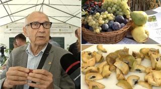 Curmale dobrogene sau bananele nordului, la Sărbătoarea Recoltei de la Facultatea de Horticultură