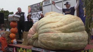 Uriaşul care a intrat în Cartea Recordurilor. Câte kilograme are cel mai mare dovleac din SUA