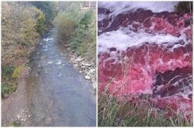 Apele unui râu din ţară s-au colorat peste noapte în roşu. "E foarte ciudat, miroase puţin a oţet"