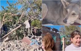 Familie din Ucraina salvată de la moarte de câine, după ce 10 rachete S300 au lovit Zaporojie: "A început să zgârie foarte tare la uşă şi am fugit în subsol"