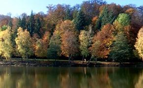 Mogoşa, locul de poveste din Maramureş care a cucerit Instagramul. Culorile toamnei, atracţii pentru fotografi şi turişti: "Este o locaţie perfectă"