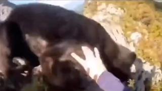 Momentul în care un alpinist se luptă cu mâinile goale cu un urs. Cum s-a terminat confruntarea
