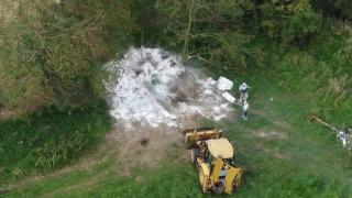 Un fermier și-a îngropat în secret porcii cu pestă porcină la mică adâncime și odată cu ei și afacerile celor din jur