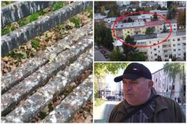 "Îmi vopsesc maşina din cauza unei ciori". Oraşul în care oamenii au pierdut "războiul" cu păsările protejate de lege