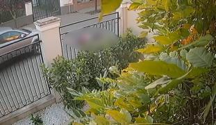 Fetiță spulberată după ce a țâșnit în fața mașinii, pe o stradă din Timiș. Copila a fost aruncată câțiva metri pe asfalt