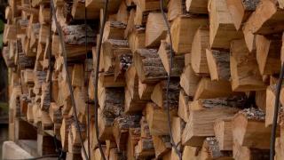 Românii, îngrijoraţi după ce Guvernul a plafonat preţul lemnelor de foc. Milioane de familii sunt vizate