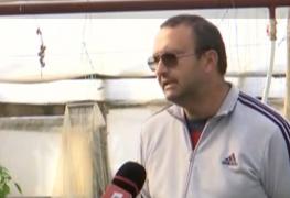 Gabriel este legumicultor în Galaţi. A renunţat să mai intre în supermarketuri, după ce i s-a impus anumite condiţii: "Nu ai cu cine discuta şi eşti foarte mic"