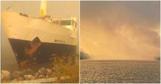 O navă a eșuat la Sulina, după un incendiu uriaș în Deltă. Zece hectare de vegetație au fost cuprinse de flăcări