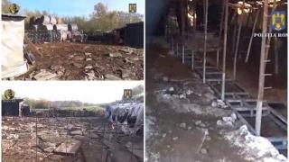 Cinci fraţi din Suceava, chinuiţi de tată timp de 6 ani. Copiii erau obligaţi să muncească la ferma familiei aproape 20 de ore pe zi