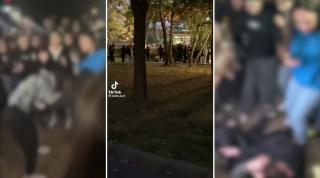"Haideți, bă, c-avem bătaie!" Două adolescente s-au bătut ca-n Fight Club, cu zeci de colegi lângă ele, la un mall din Constanța