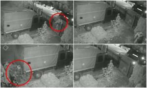 Un hoţ din Botoşani, prins la furat de un jandarm în timpul liber. Proprietarul a fost trezit de hărmălaia din curte