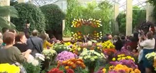 A început noua ediţie a expoziţiei "Flori de Toamnă" la Grădina Botanică din Iaşi. Ce atracţii se pot vedea la eveniment