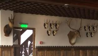 Preparatul care ar putea dispărea complet din meniurile restaurantelor cu specific vânătoresc