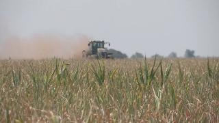 "Seceta a devenit parte din viaţa noastră". Pentru prima dată în istorie, fermierii au irigat terenurile în luna noiembrie