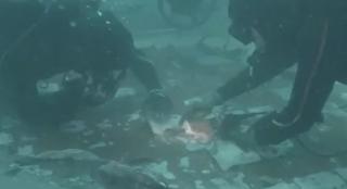 Parte din istorie spaţiului, găsită pe fundul oceanului Atlantic: resturi ale navetei spaţiale Challenger, descoperite de doi scafandri