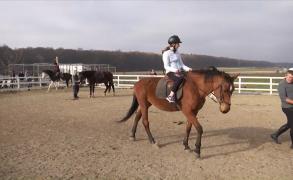 Escapada perfectă pentru un weekend reuşit: drumeţii, cursuri de călărie şi peisaje superbe la centrul de echitaţie din Suceava