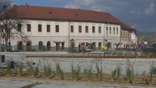 "Parcă suntem în Ucraina". Revoltă în Dej după ce un proiect finanțat prin PNRR pentru reducerea poluării a început cu tăierea copacilor din centrul orașului