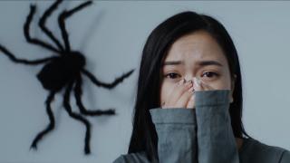 Fobiile: ce sunt, cum sunt diagnosticate şi cum pot fi tratate