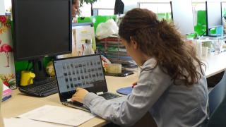 Doar 24% dintre tinerii cu vârste cuprinse între 16 şi 24 de ani vor un loc de muncă în România. Ce pretenţii şi ce beneficii îşi doresc cei din noua generaţie