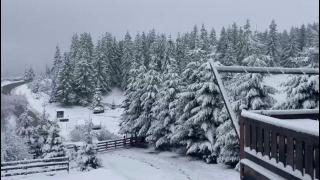 Vremea rece a făcut primele victime în țară. O femeie din Iași a murit în curtea casei din cauza frigului