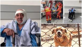 Filmul atacului în care un bărbat din Iaşi a fost sfâşiat de patru câini. "N-am ştiut ce-i cu mine"