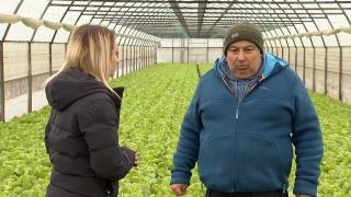 Guvernul schimbă regulile pentru fermierii români. Sancțiuni de zeci de mii de lei sau chiar pedepse cu închisoarea