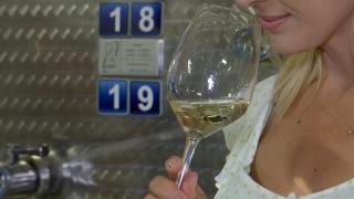 Ce ar trebui să apară pe etichetele sticlelor de vin de anul viitor. Producătorii spun că măsură e imposibil de aplicat