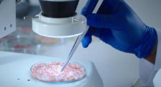 Singurul târg din România dedicat cercetării alimentare şi-a ales câştigătorii. Cine a plecat acasă cu marele premiu