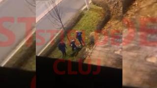 Polițist din Cluj, filmat cum calcă pe cap un tânăr băut și pus pe scandal. Șefii agentului au demarat o anchetă internă