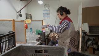 Afacerea de succes pornită de o familie de români acum 28 de ani aduce magia Crăciunului în Europa şi SUA