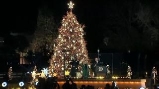 New York-ul şi-a pus straiele de sărbătoare. Aprinderea bradului de la Rockefeller Center dă startul sezonului de Crăciun