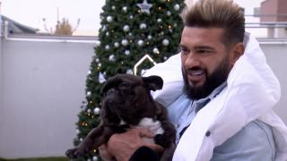 Dorian Popa nu a fost primit la local cu câinele lui, Cheluţu: "Un răspuns vehement şi încărcat de energie negativă"