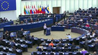 Ultimele încercări de a convinge Austria să ne accepte în Schengen. Ambasadorul român le transmite "un strigăt de ajutor"