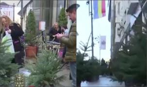 "E o parte dintr-un zâmbet". 100 de brăduți "adoptați" de ieșeni vor ajunge în casele copiilor nevoiași