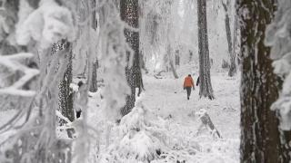 Gerul a pus stăpânire pe Europa: Germania, sub cod roşu de ninsoare, iar poleiul a devenit problematic în Franţa şi Marea Britanie