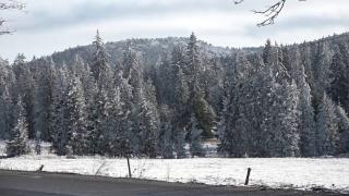 Temperaturi de -12 grade în Harghita. Localnicii au s-au trezit de la prima oră pentru a-şi dezgheţa maşinile